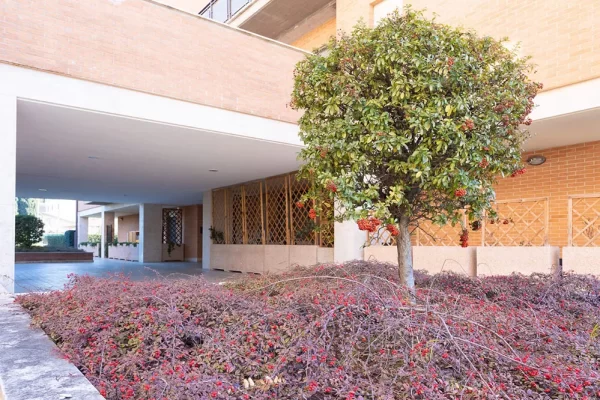 appartamento-gli-angeli-santa-maria-degli-angeli-assisi-17